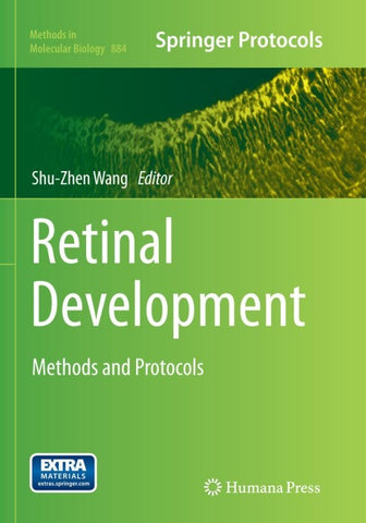 Retinal Development
