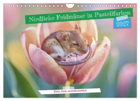 Niedliche Feldmäuse in Pastellfarben (Wandkalender 2027 DIN A4 quer), CALVENDO Monatskalender