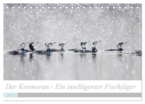 Der Kormoran - Ein intelligenter Fischjäger (Tischkalender 2027 DIN A5 quer), CALVENDO Monatskalender