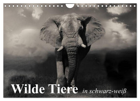 Wilde Tiere in schwarz-weiß (Wandkalender 2027 DIN A4 quer), CALVENDO Monatskalender