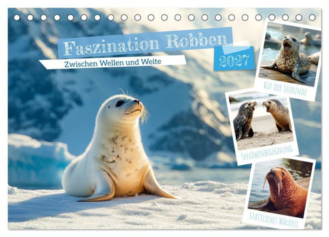 Faszination Robben - Zwischen Wellen und Weite (Tischkalender 2027 DIN A5 quer), CALVENDO Monatskalender