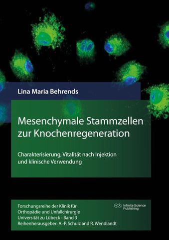 Mesenchymale Stammzellen zur Knochenregeneration