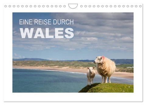 Wales / AT-Version (Wandkalender 2026 DIN A4 quer), CALVENDO Monatskalender