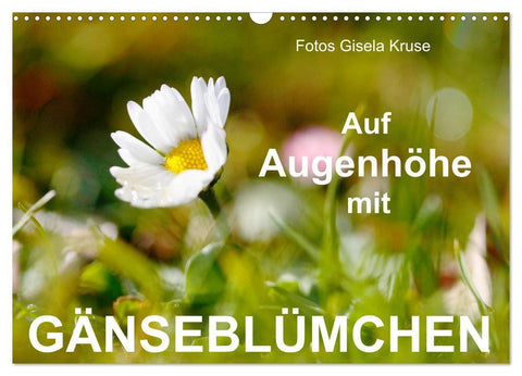Auf Augenhöhe mit Gänseblümchen (Wandkalender 2027 DIN A3 quer), CALVENDO Monatskalender