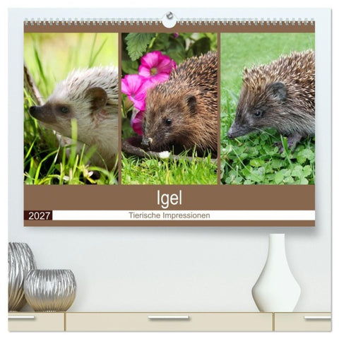 Igel 2027. Tierische Impressionen (hochwertiger Premium Wandkalender 2027 DIN A2 quer), Kunstdruck in Hochglanz