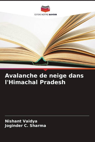 Avalanche de neige dans l'Himachal Pradesh