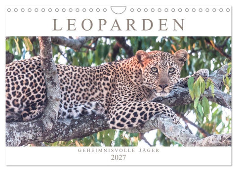 Leoparden - Geheimnisvolle Jäger (Wandkalender 2027 DIN A4 quer), CALVENDO Monatskalender