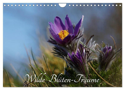 Wilde Blüten-Träume (Wandkalender 2027 DIN A4 quer), CALVENDO Monatskalender