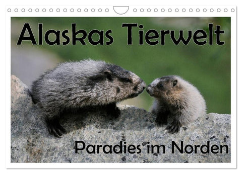Alaskas Tierwelt - Paradies im Norden (Wandkalender 2026 DIN A4 quer), CALVENDO Monatskalender