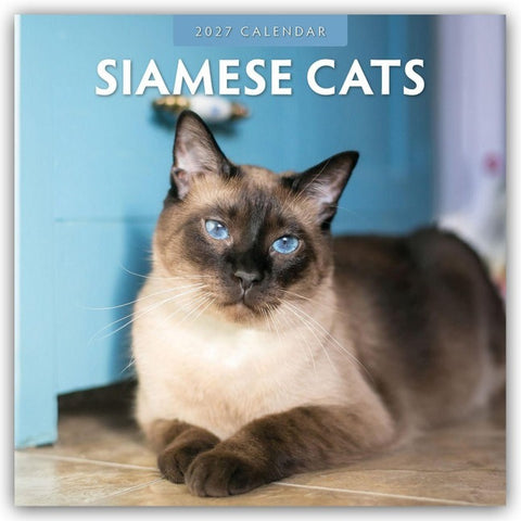 Siamese Cats – Siamkatzen – Siamesische Katzen 2027 – 16-Monatskalender
