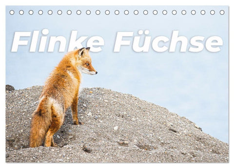 Flinke Füchse (Tischkalender 2027 DIN A5 quer), CALVENDO Monatskalender