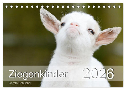 Ziegenkinder (Tischkalender 2026 DIN A5 quer), CALVENDO Monatskalender