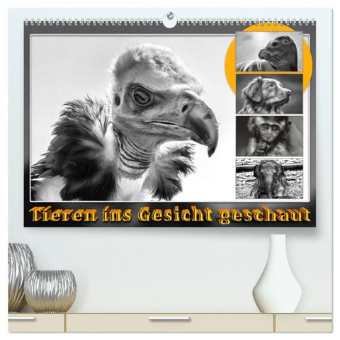 Tieren ins Gesicht geschaut (hochwertiger Premium Wandkalender 2027 DIN A2 quer), Kunstdruck in Hochglanz