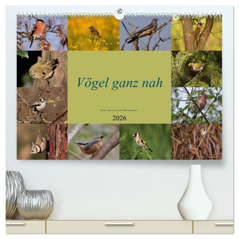 Vögel ganz nah (hochwertiger Premium Wandkalender 2026 DIN A2 quer), Kunstdruck in Hochglanz
