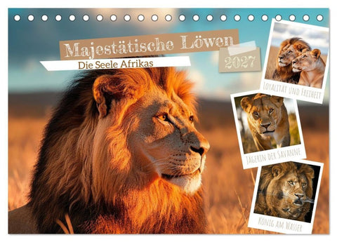 Majestätische Löwen - Die Seele Afrikas (Tischkalender 2027 DIN A5 quer), CALVENDO Monatskalender
