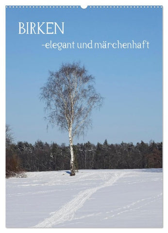 Birken - elegant und märchenhaft (Wandkalender 2026 DIN A2 hoch), CALVENDO Monatskalender