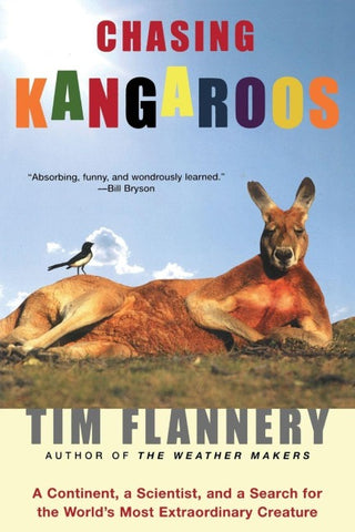 Chasing Kangaroos