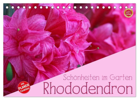 Rhododendron Schönheiten im Garten (Tischkalender 2027 DIN A5 quer), CALVENDO Monatskalender