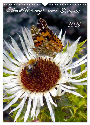 Schmetterlilnge und Blumen (Wandkalender 2026 DIN A3 hoch), CALVENDO Monatskalender