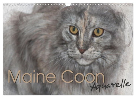 Maine Coon Aquarelle (Wandkalender 2027 DIN A3 quer), CALVENDO Monatskalender