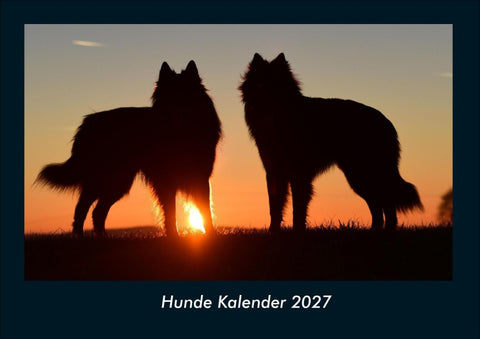 Hunde Kalender 2027 Fotokalender DIN A4