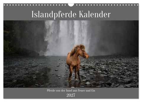 Islandpferde Kalender - Pferde von der Insel aus Feuer und Eis (Wandkalender 2027 DIN A3 quer), CALVENDO Monatskalender