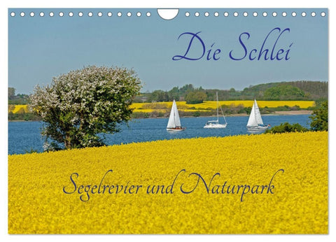 Die Schlei - Segelrevier und Naturpark (Wandkalender 2027 DIN A4 quer), CALVENDO Monatskalender