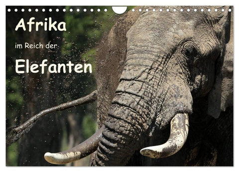 Afrika - im Reich der Elefanten (Wandkalender 2027 DIN A4 quer), CALVENDO Monatskalender