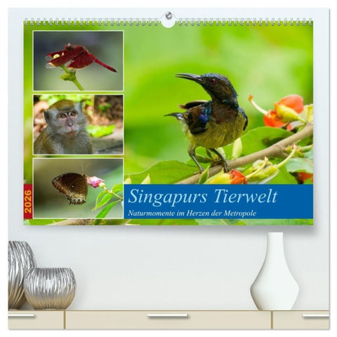 Singapurs Tierwelt (hochwertiger Premium Wandkalender 2026 DIN A2 quer), Kunstdruck in Hochglanz
