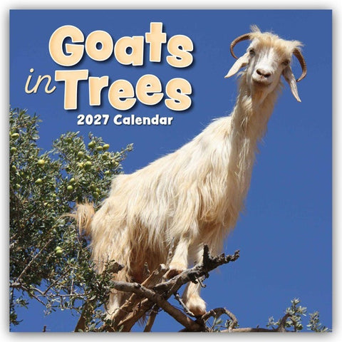 Goats in Trees – Ziegen auf Bäumen 2027 – 16-Monatskalender