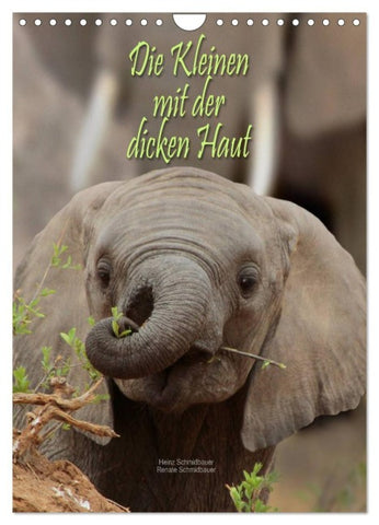 Die Kleinen mit der dicken Haut (Wandkalender 2026 DIN A4 hoch), CALVENDO Monatskalender