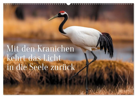 Mit den Kranichen kehrt das Licht in die Seele zurück (Wandkalender 2027 DIN A2 quer), CALVENDO Monatskalender