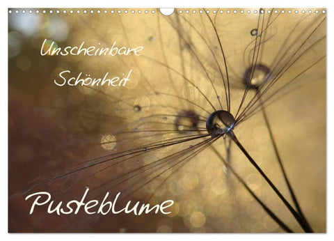 Unscheinbare Schönheit - Pusteblume (Wandkalender 2026 DIN A3 quer), CALVENDO Monatskalender