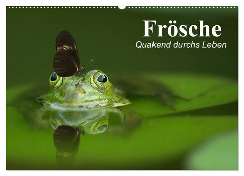 Frösche. Quakend durchs Leben (Wandkalender 2026 DIN A2 quer), CALVENDO Monatskalender