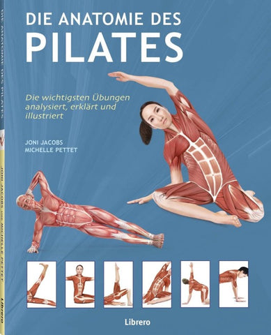 Die Anatomie des Pilates
