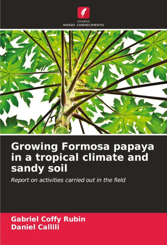 Growing Formosa papaya in a tropical climate and sandy soil