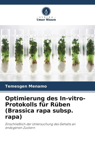 Optimierung des In-vitro-Protokolls für Rüben (Brassica rapa subsp. rapa)