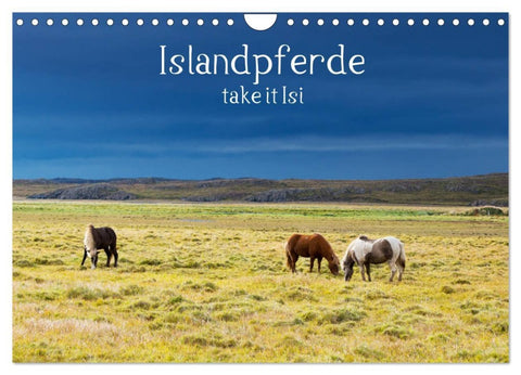 Islandpferde take it Isi (Wandkalender 2026 DIN A4 quer), CALVENDO Monatskalender