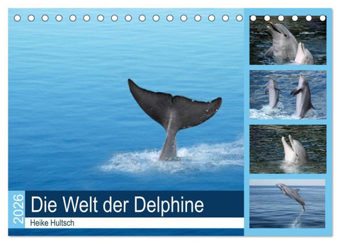 Die Welt der Delphine (Tischkalender 2026 DIN A5 quer), CALVENDO Monatskalender