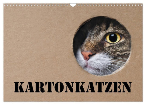 Karton Katzen (Wandkalender 2027 DIN A3 quer), CALVENDO Monatskalender