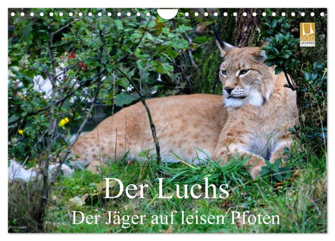 Der Luchs - Der Jäger auf leisen Pfoten (Wandkalender 2026 DIN A4 quer), CALVENDO Monatskalender