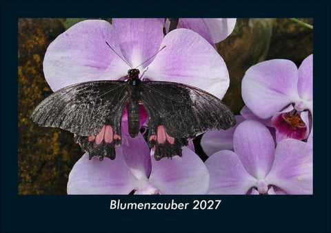 Blumenzauber 2027 Fotokalender DIN A5