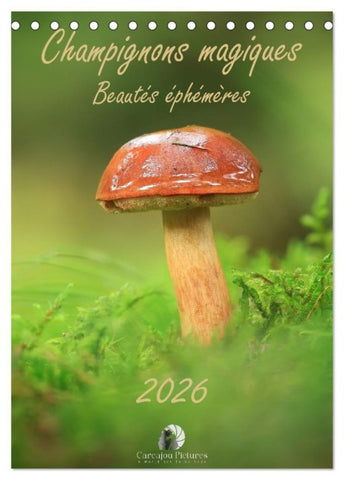 Champignons magiques - Beautés éphémères (Calendrier de bureau 2026 DIN A5 horizontal), CALVENDO calendrier mensuel