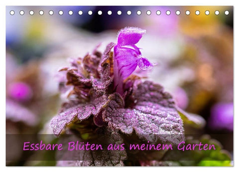 Essbare Blüten aus meinem Garten (Tischkalender 2027 DIN A5 quer), CALVENDO Monatskalender