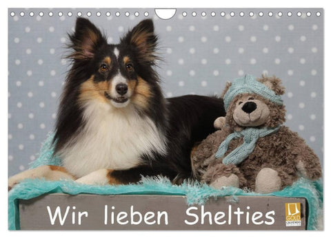Wir lieben Shelties (Wandkalender 2026 DIN A4 quer), CALVENDO Monatskalender