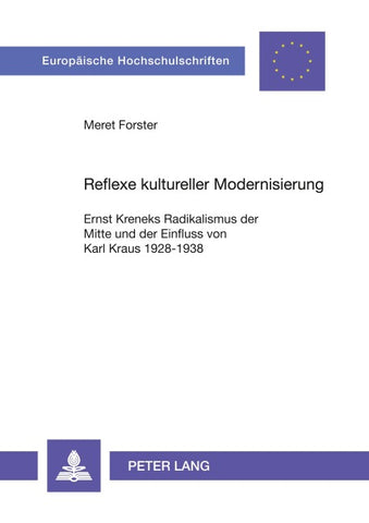 Reflexe kultureller Modernisierung