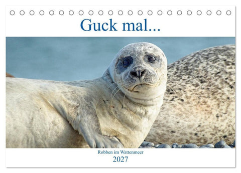 Guck mal... Robben im Wattenmeer (Tischkalender 2027 DIN A5 quer), CALVENDO Monatskalender