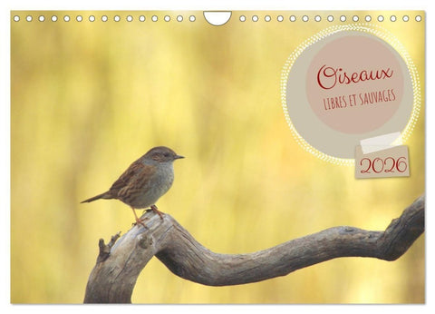 Oiseaux libres et sauvages (Calendrier mural 2026 DIN A4 vertical), CALVENDO calendrier mensuel