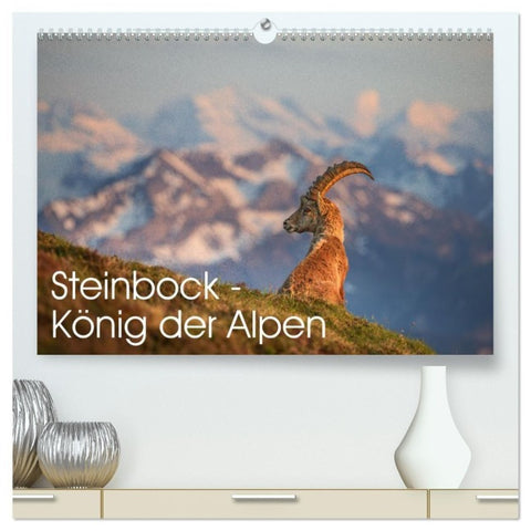 Steinbock - König der Alpen (hochwertiger Premium Wandkalender 2027 DIN A2 quer), Kunstdruck in Hochglanz