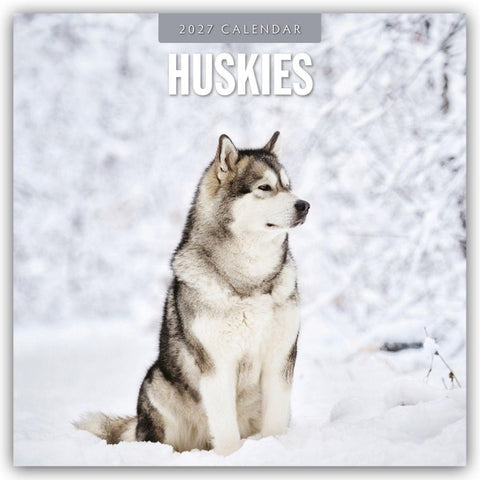 Huskies – Husky – Huskys 2027 – 16-Monatskalender